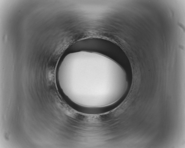 X0000102000576200807180851