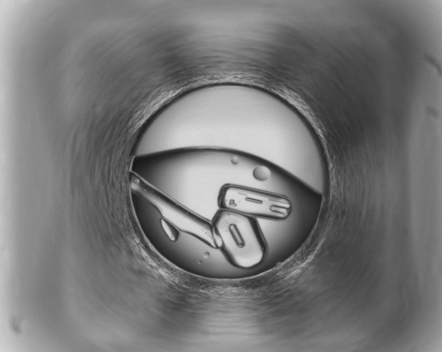 X0000102000577200807180850
