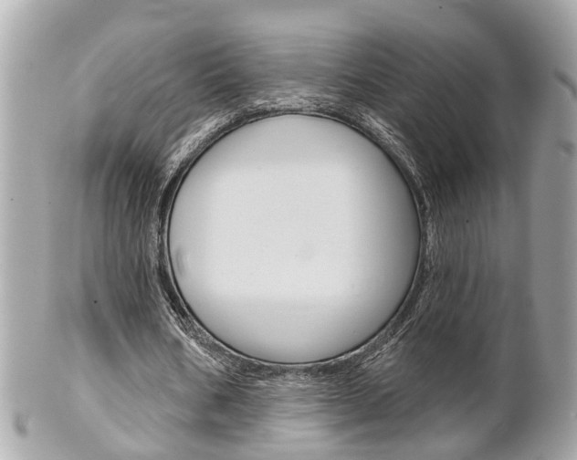 X0000102000578200807180850