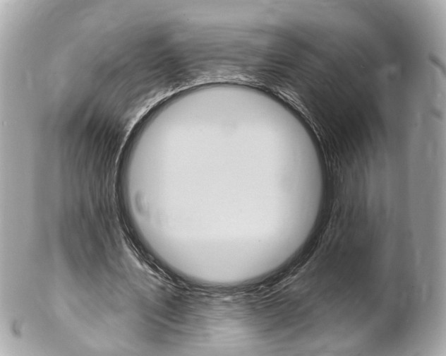 X0000102000579200807180850