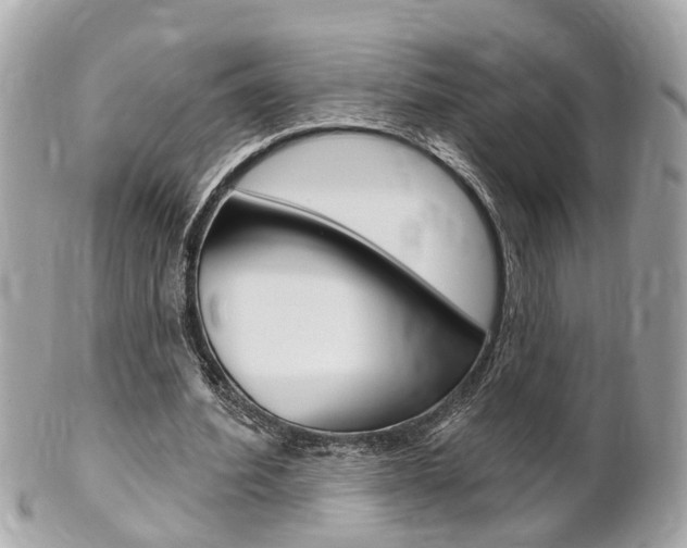 X0000102000580200807180850
