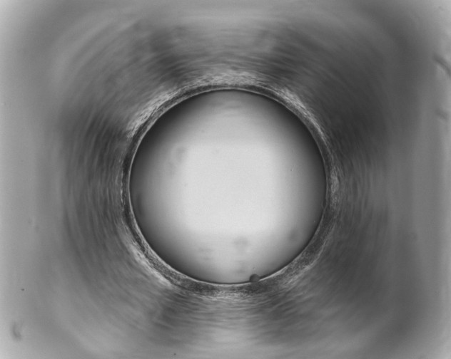 X0000102000581200807180850