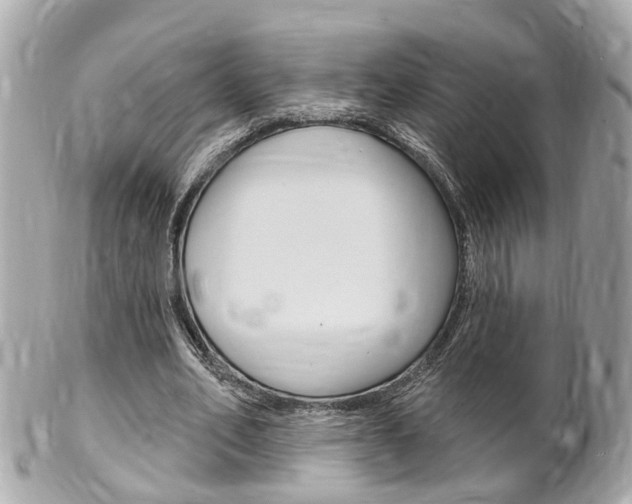 X0000102000582200807180850