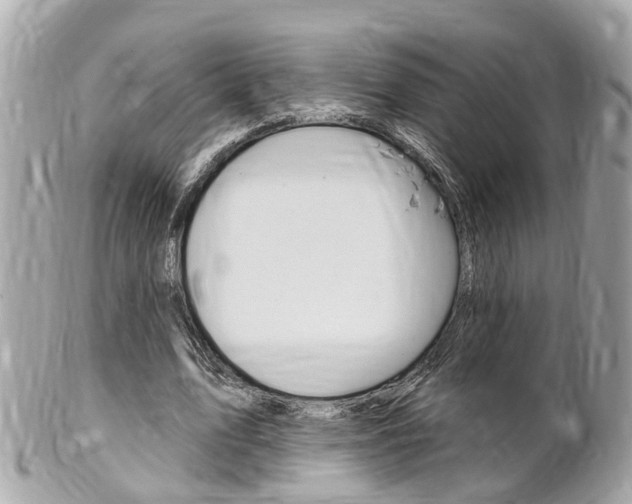 X0000102000583200807180850