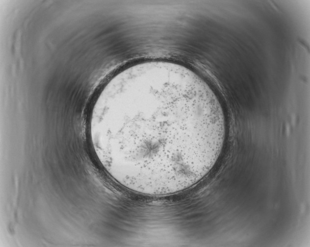 X0000102000584200807180850