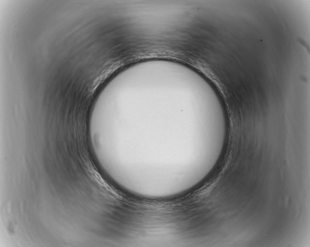 X0000102000585200807180850