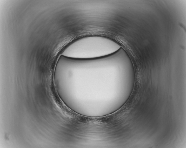 X0000102000586200807180850
