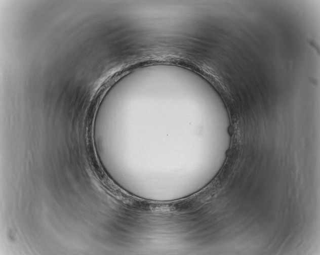 X0000102000587200807180850