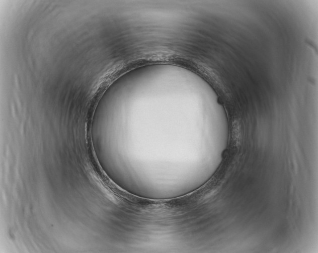 X0000102000589200807180850