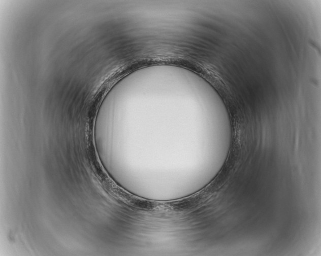 X0000102000591200807180850