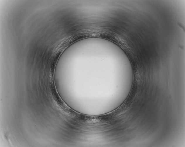 X0000102000594200807180850