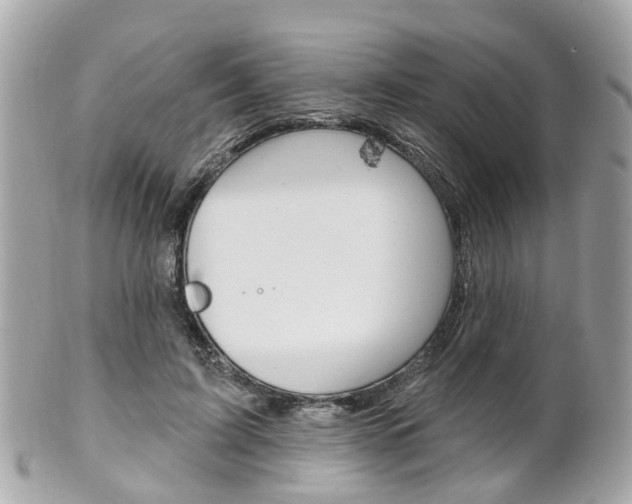 X0000102000595200807180850