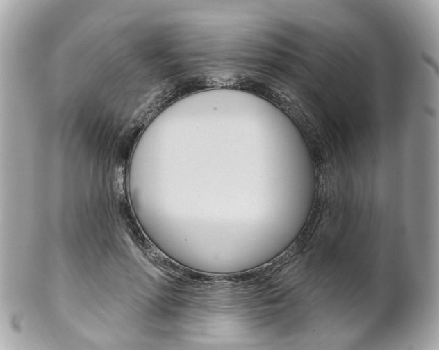 X0000102000598200807180850