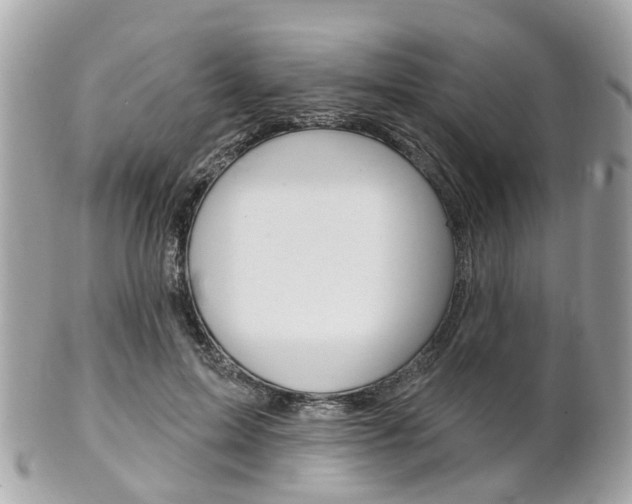 X0000102000599200807180850