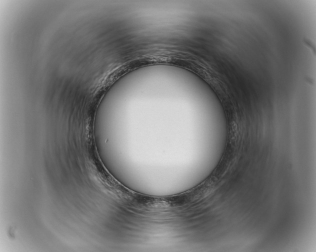X0000102000600200807180850