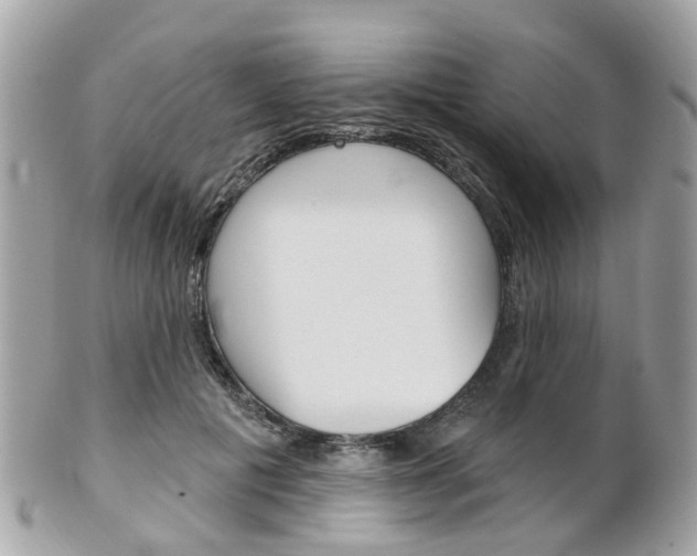 X0000102000601200807180850