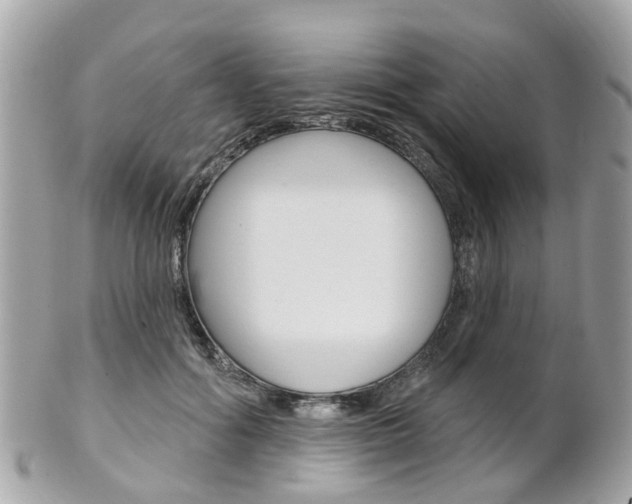 X0000102000602200807180850