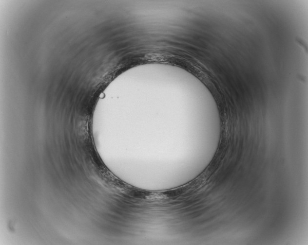 X0000102000603200807180850
