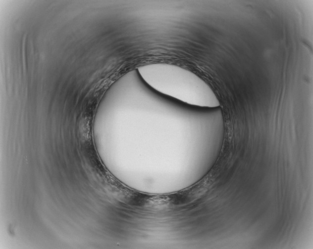 X0000102000606200807180850