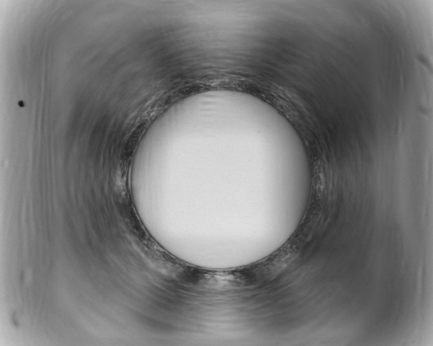 X0000102000607200807180850