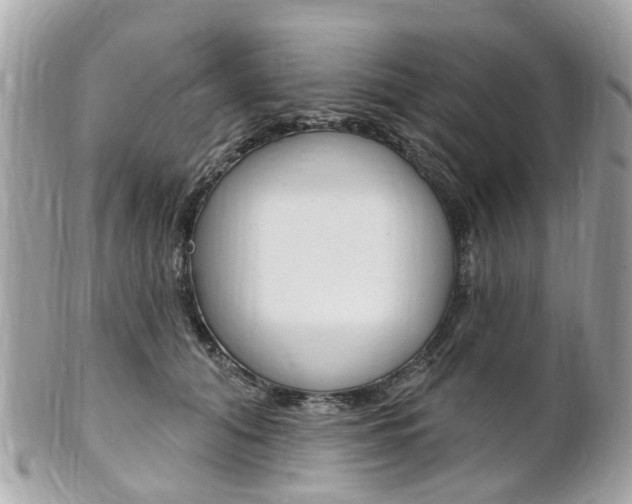 X0000102000608200807180850