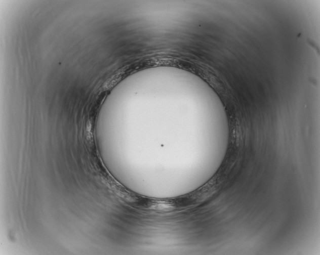 X0000102000610200807180850