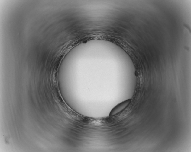 X0000102000611200807180850