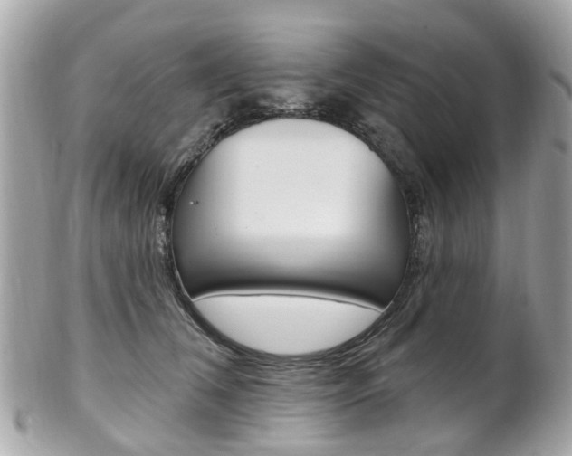 X0000102000612200807180850