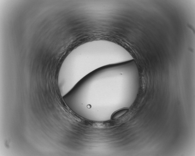 X0000102000613200807180850