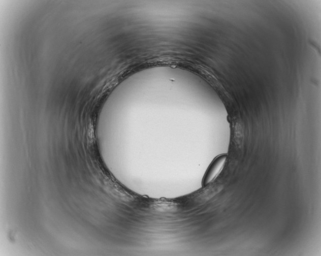 X0000102000617200807180850