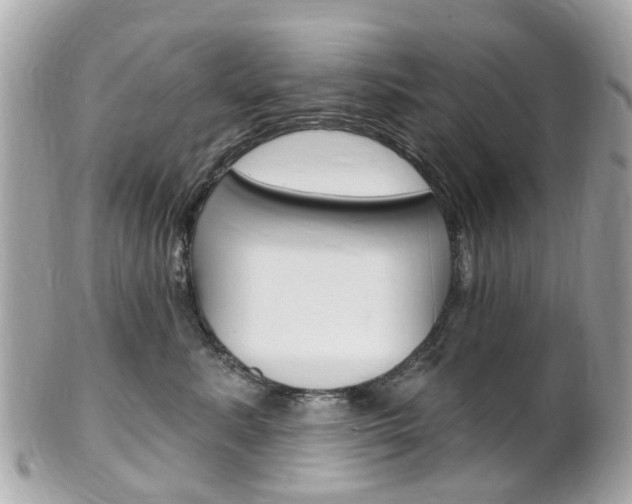 X0000102000619200807180850