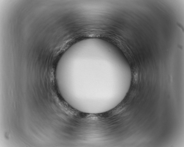 X0000102000620200807180849