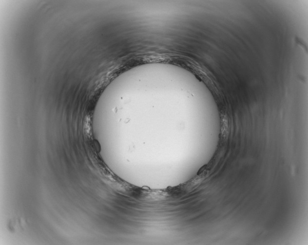 X0000102000621200807180849