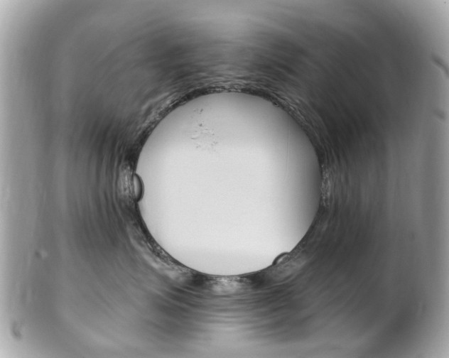 X0000102000623200807180849