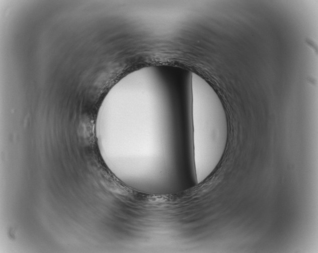 X0000102000624200807180849