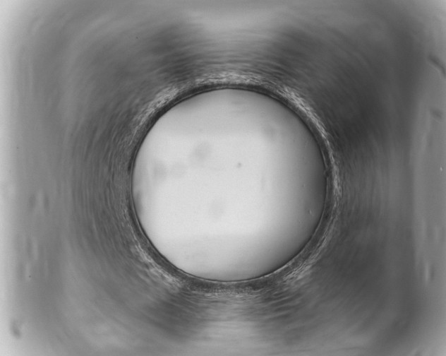 X0000102000625200807180849