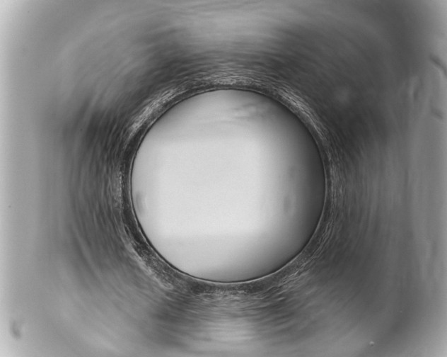 X0000102000626200807180849