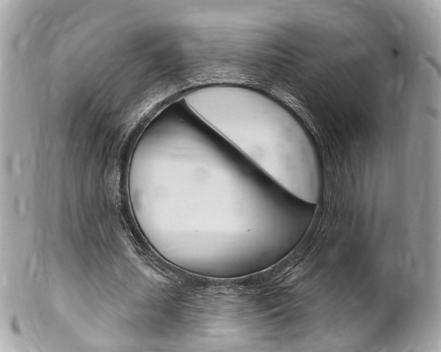 X0000102000627200807180849