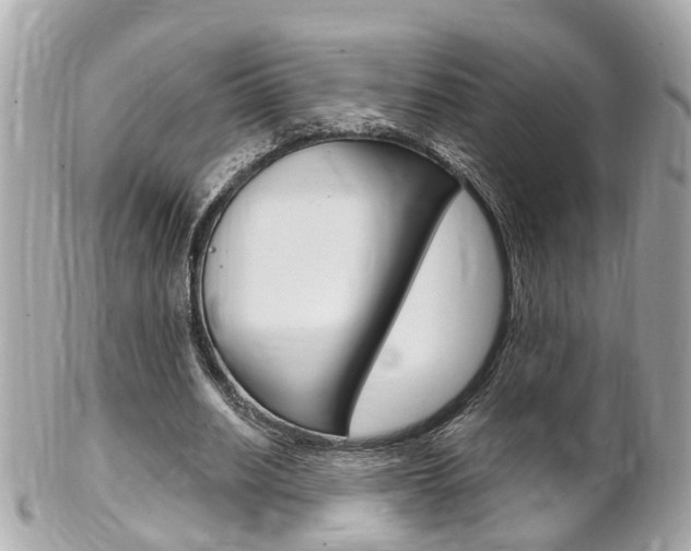 X0000102000630200807180849