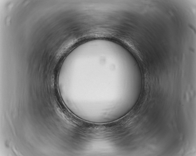 X0000102000631200807180849