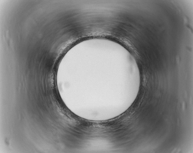 X0000102000632200807180849