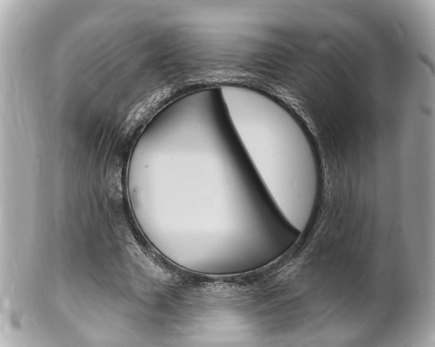 X0000102000633200807180849