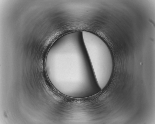 X0000102000634200807180849