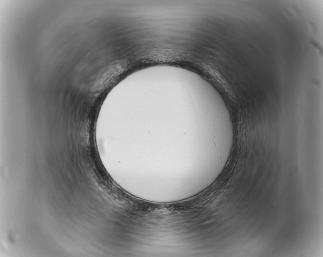 X0000102000635200807180849