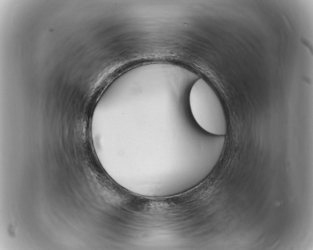 X0000102000636200807180849