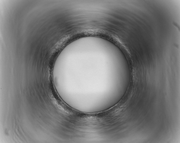 X0000102000637200807180849