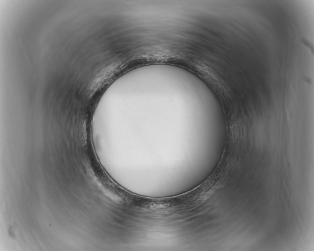 X0000102000638200807180849