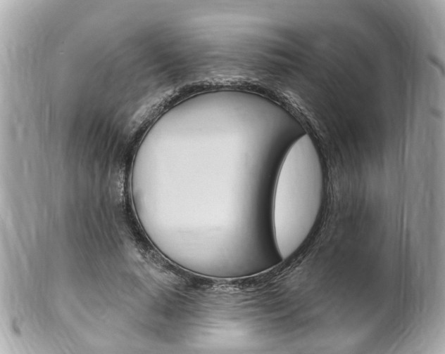 X0000102000640200807180849