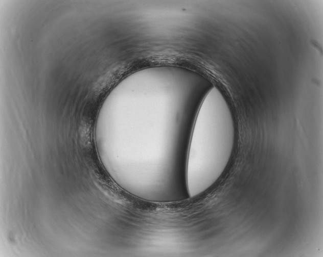 X0000102000641200807180849