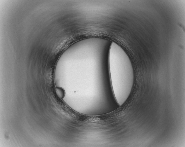 X0000102000642200807180849